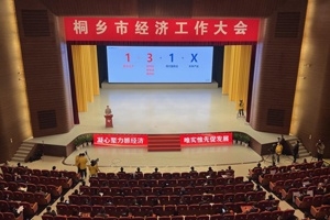 【菊乡快评】经济工作大会上，桐乡市委书记为何重点讲谈球吧的电子布？